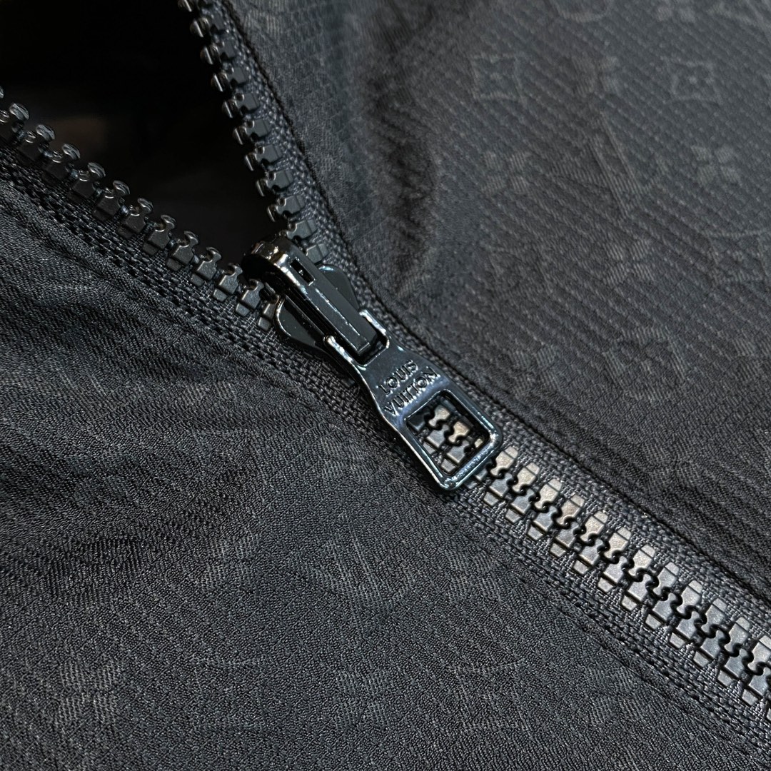 Louis Vuitton Down Jackets